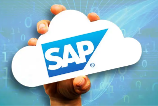 Formation SAP